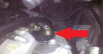 news_dsg_adapter2